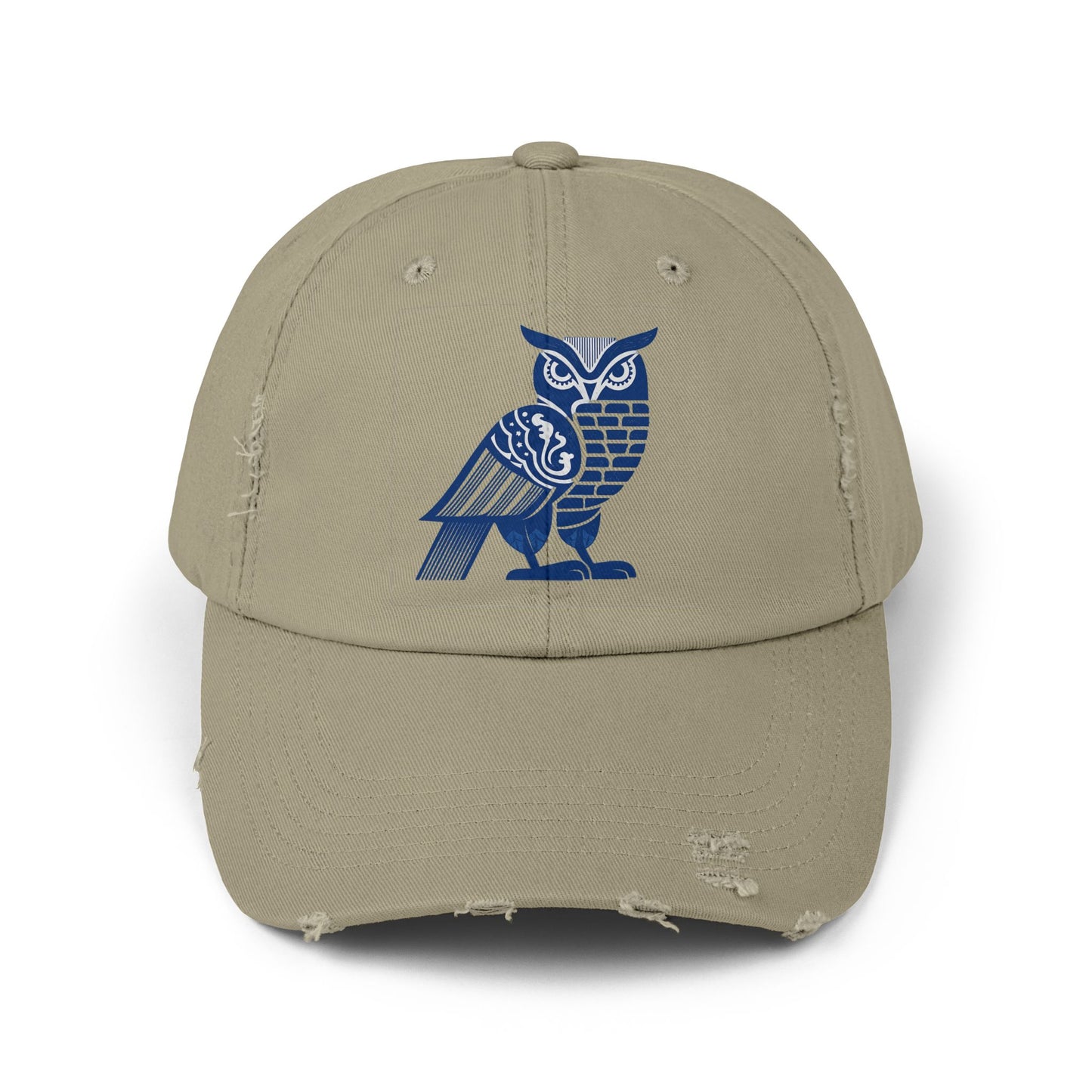 Spirit Animal: Owl Cap | Night wisdom, intuition, clear sight in the dark.