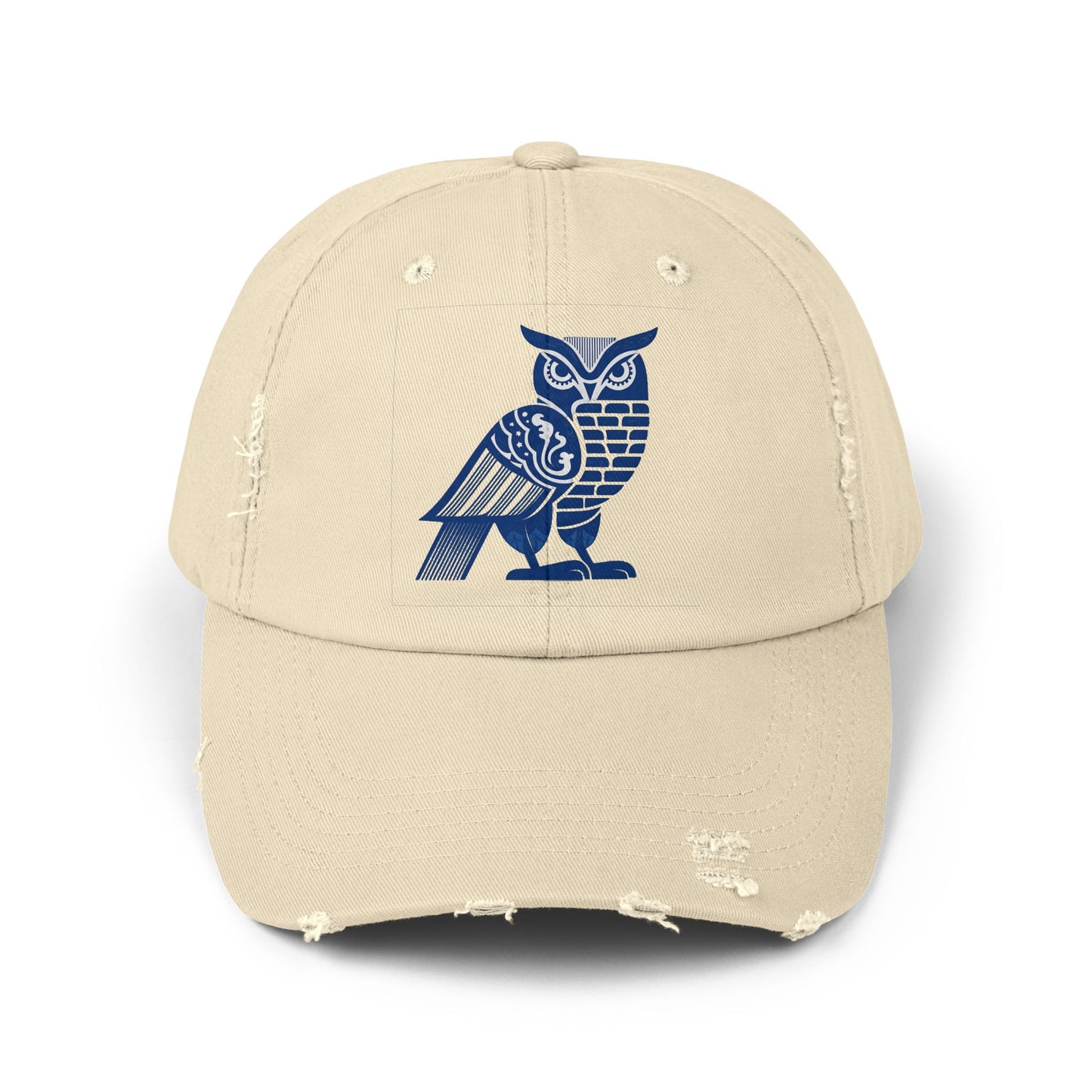 Spirit Animal: Owl Cap | Night wisdom, intuition, clear sight in the dark.