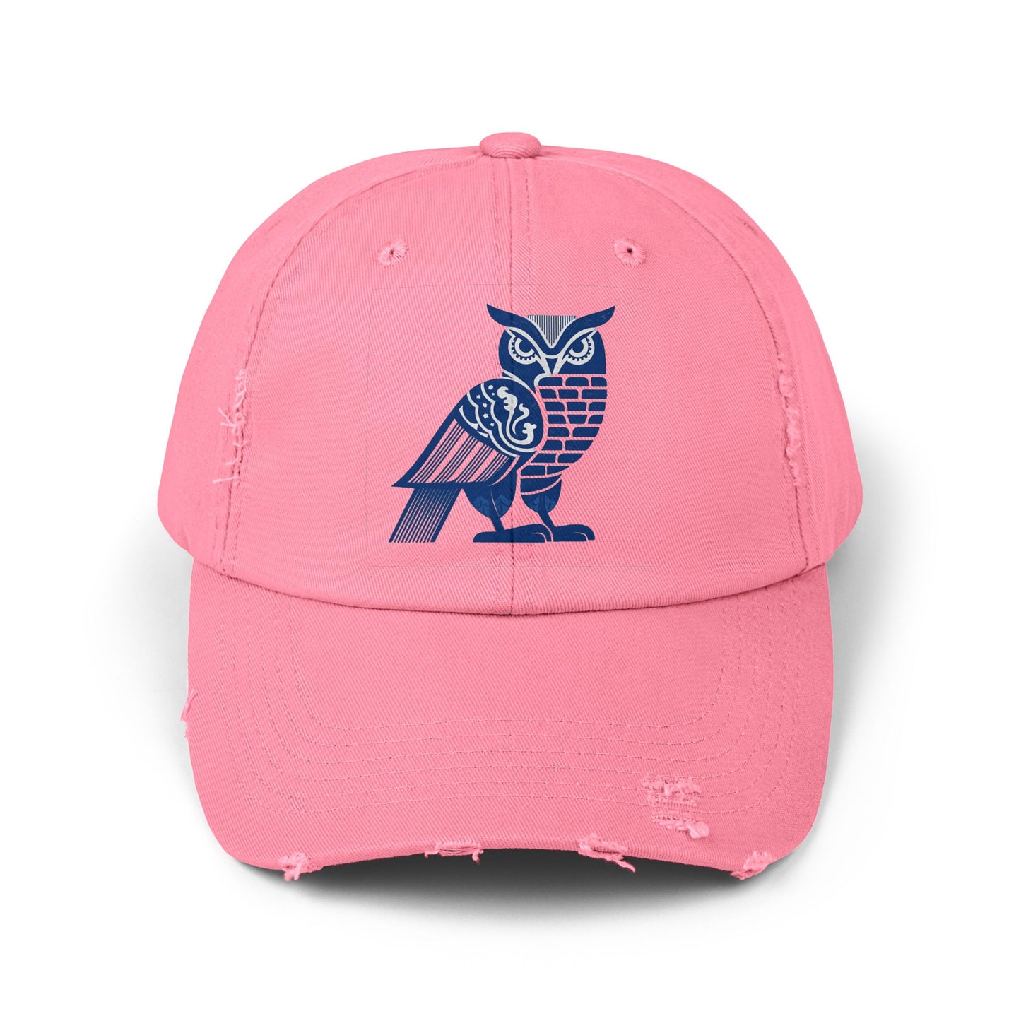 Spirit Animal: Owl Cap | Night wisdom, intuition, clear sight in the dark.